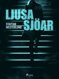 Bild på bokomslag för Ljusa sjöar