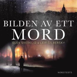 Bild på bokomslag för Bilden av ett mord