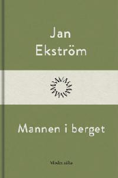 Bild på bokomslag för Mannen i berget