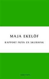 Omslagsbild för Rapport från en skurhink