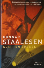 Bild på bokomslag för Som i en spegel