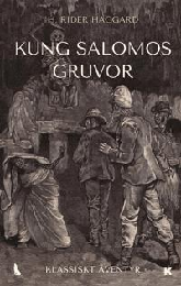 Bild på bokomslag för 