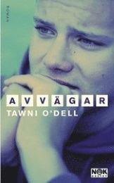 Omslagsbild för Avvägar