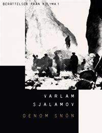 Omslagsbild för Genom snön [urval]