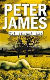 Omslagsbild för Ett snyggt lik