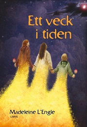 Bild på bokomslag för Ett veck i tiden