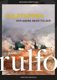 Bild på bokomslag för 